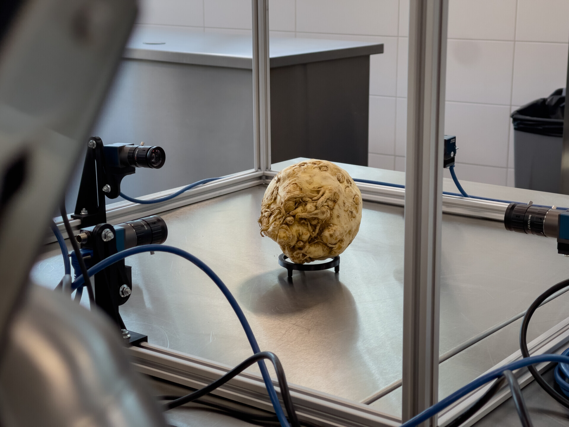 Sorting celeriac with cameras and AI (2)