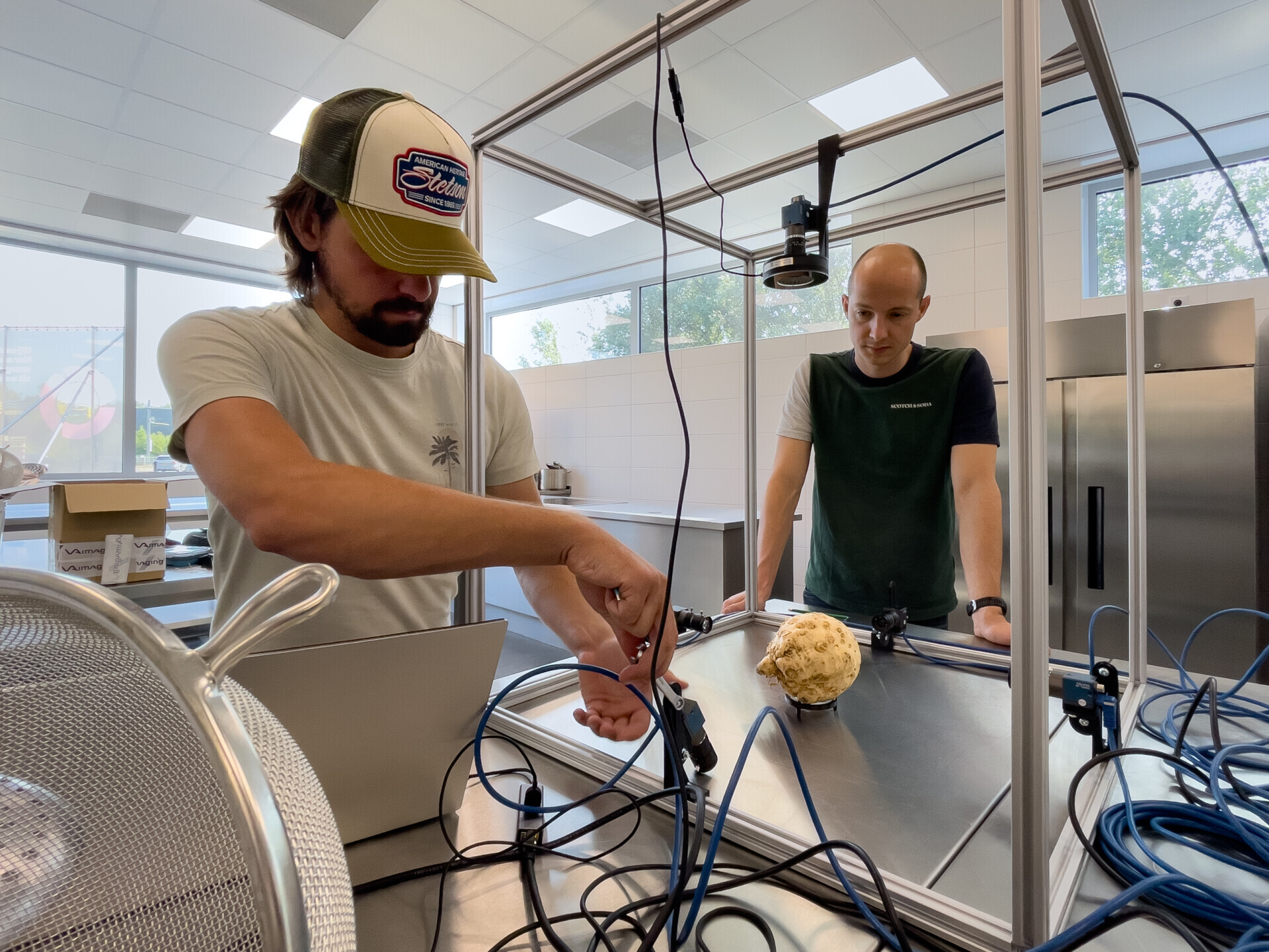 Sorting celeriac with cameras and AI (3)