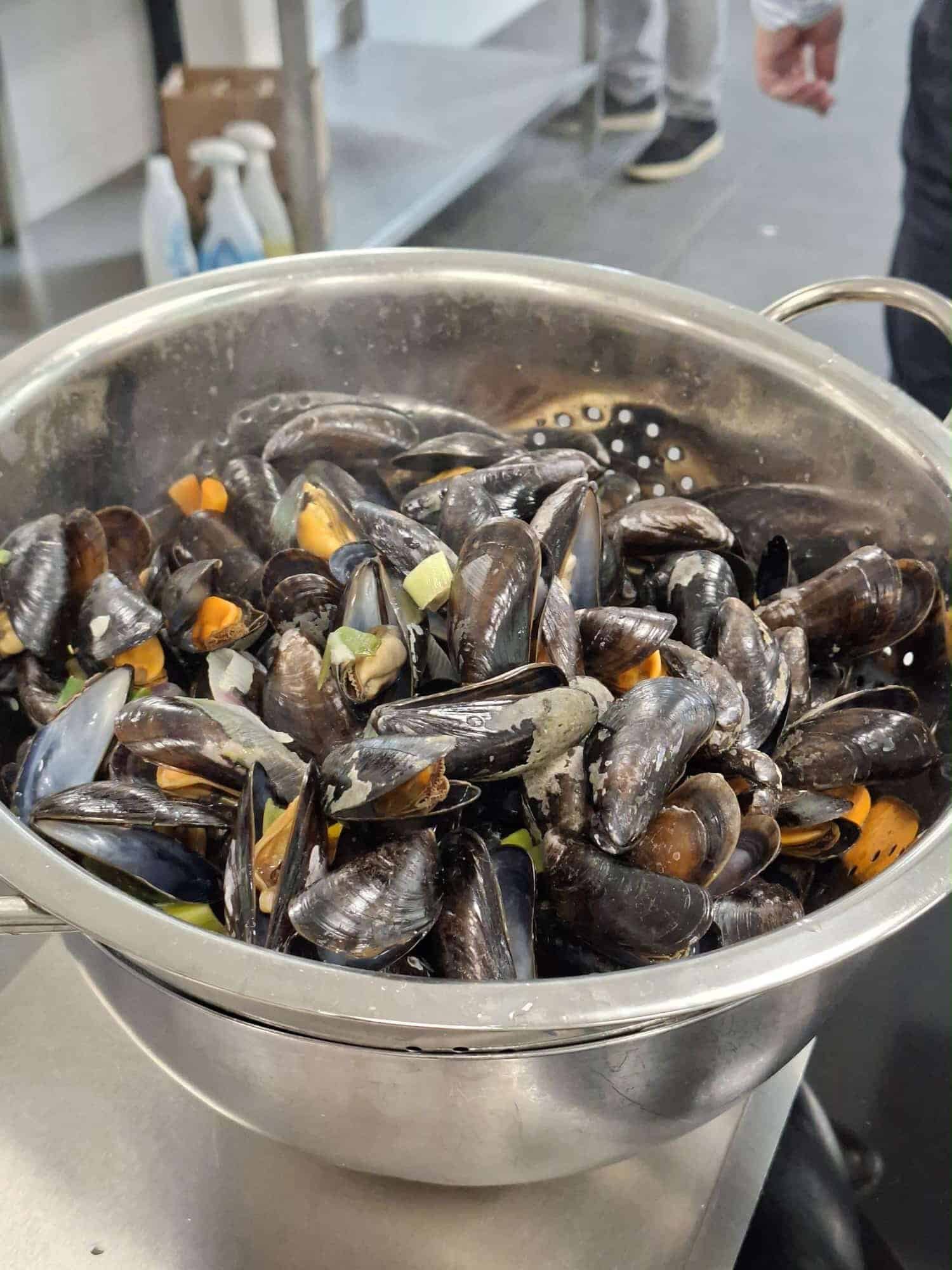 De mossel van morgen (4)